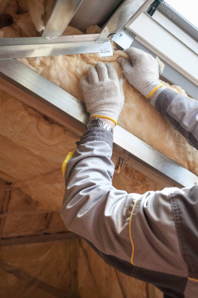 Best Insulation Maintenance and Repair in Catasauqua, PA
